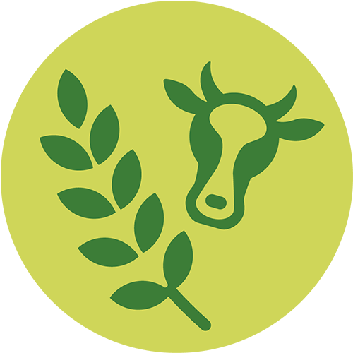 Nyeleni Austria Logo Design