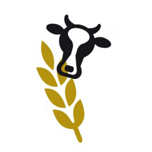 nyeleni-Logo-vorher